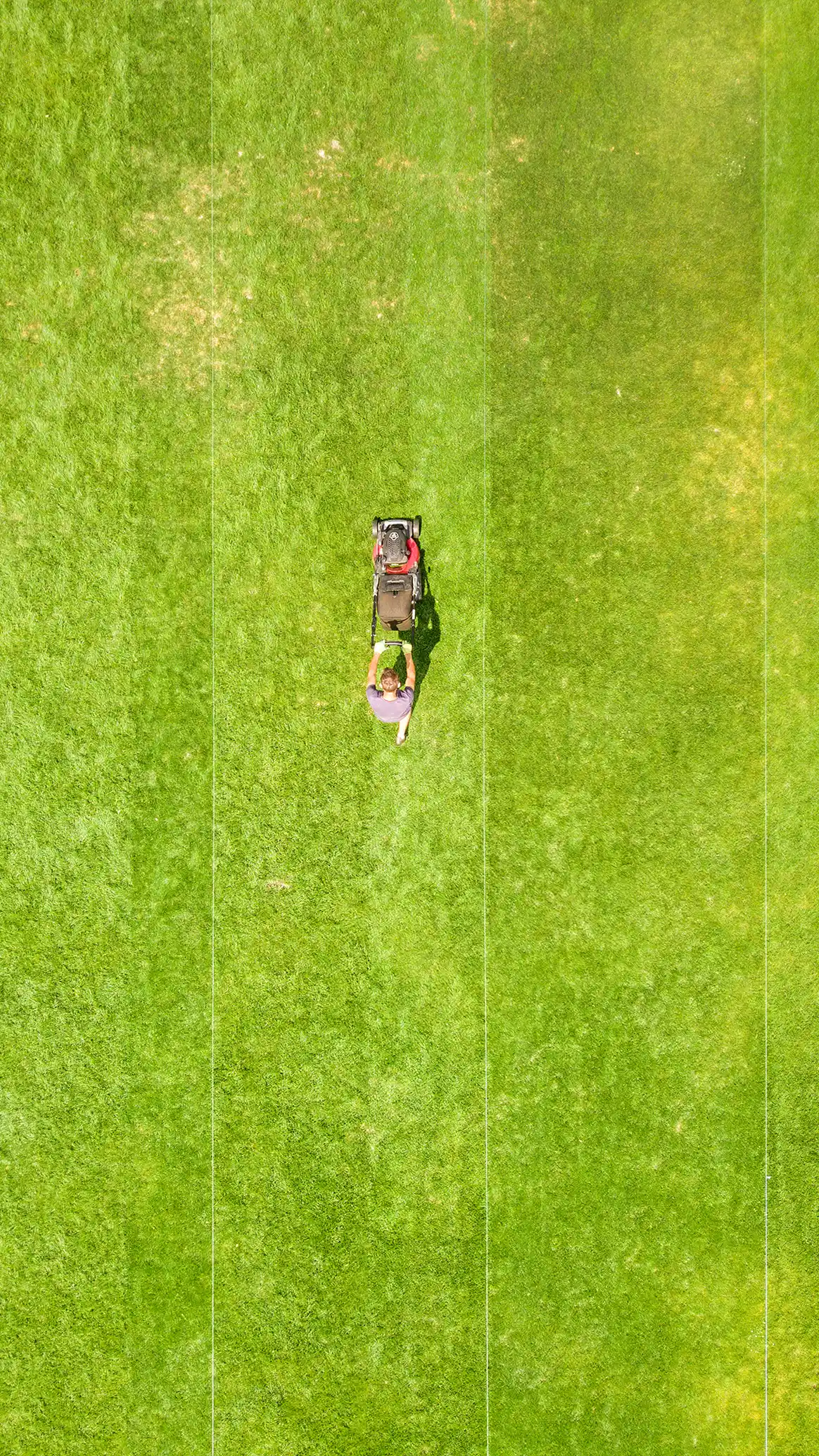 Lawn mowing newcastle